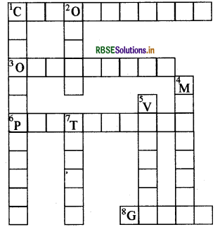 RBSE Solutions for Class 8 Science Chapter 8 Cell – Structure and Functions 3