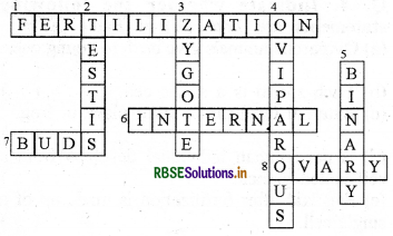 RBSE Solutions for Class 8 Science Chapter 9 Reproduction in Animals 4