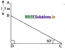 RBSE Class 10 Maths Important Questions Chapter 9 त्रिकोणमिति का अनुप्रयोग 17