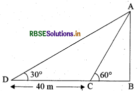 RBSE Class 10 Maths Important Questions Chapter 9 त्रिकोणमिति का अनुप्रयोग 28