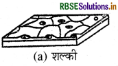 RBSE Class 9 Science Important Questions Chapter 6 ऊतक 16