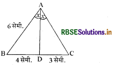 RBSE Class 10 Maths Important Questions Chapter 6 त्रिभुज 1