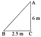 RBSE Class 10 Maths Important Questions Chapter 6 त्रिभुज 22