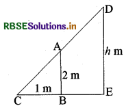 RBSE Class 10 Maths Important Questions Chapter 6 त्रिभुज 24