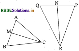 RBSE Class 10 Maths Important Questions Chapter 6 त्रिभुज 30