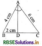 RBSE Class 10 Maths Important Questions Chapter 6 त्रिभुज 5