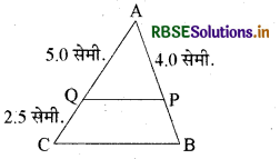 RBSE Class 10 Maths Important Questions Chapter 6 त्रिभुज 8