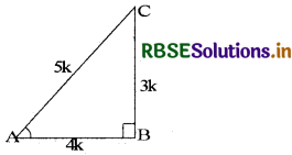 RBSE Class 10 Maths Important Questions Chapter 8 त्रिकोणमिति का परिचय 13