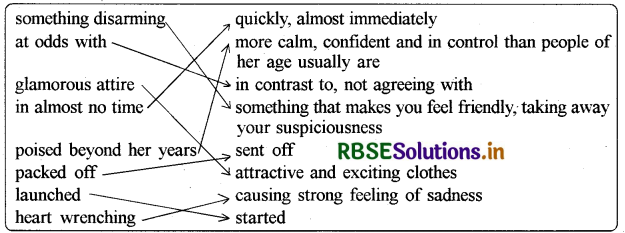 RBSE Solutions for Class 9 English Beehive Chapter 8 Reach for the Top 1