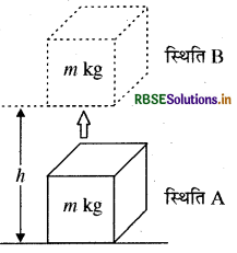 RBSE Class 9 Science Important Questions Chapter 11 कार्य तथा ऊर्जा 15