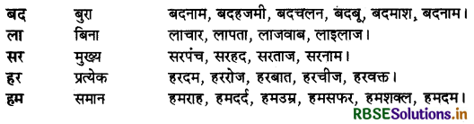 RBSE Class 9 Hindi Vyakaran शब्द-निर्माण 7