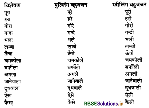 RBSE Class 9 Hindi Vyakaran विशेषण 9