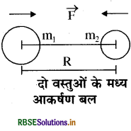 RBSE Class 9 Science Important Questions Chapter 10 गुरुत्वाकर्षण 6
