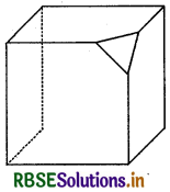 RBSE Class 8 Maths Important Questions Chapter 10 Visualizing Solid Shapes 1