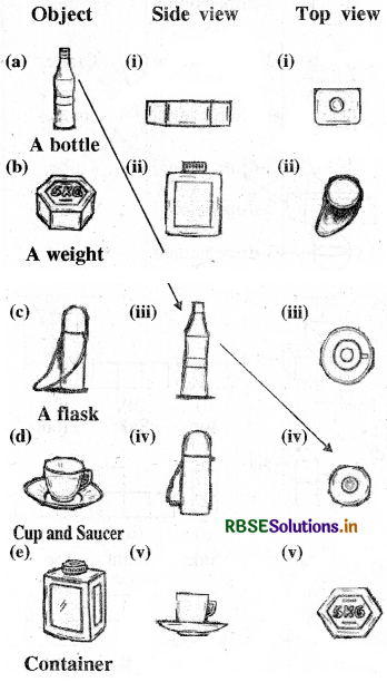 RBSE Solutions for Class 8 Maths Chapter 10 Visualizing Solid Shapes Ex 10.1 1