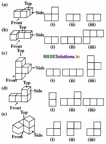 RBSE Solutions for Class 8 Maths Chapter 10 Visualizing Solid Shapes Ex 10.1 5
