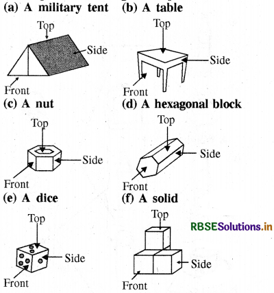 RBSE Solutions for Class 8 Maths Chapter 10 Visualizing Solid Shapes Ex 10.1 7