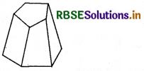 RBSE Solutions for Class 8 Maths Chapter 10 Visualizing Solid Shapes Ex 10.2 2