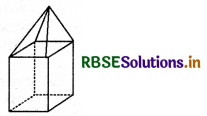 RBSE Solutions for Class 8 Maths Chapter 10 Visualizing Solid Shapes Ex 10.2 3