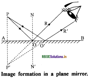 RBSE Class 8 Science Important Questions Chapter 16  Light 2