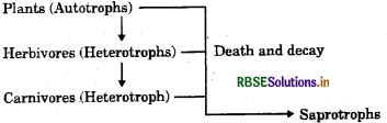 RBSE Solutions for Class 7 Science Chapter 1 Nutrition in Plants 5