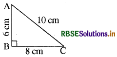 RBSE Solutions for Class 8 Maths Chapter 6 वर्ग और वर्गमूल Ex 6.4 29