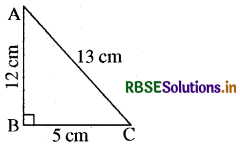 RBSE Solutions for Class 8 Maths Chapter 6 वर्ग और वर्गमूल Ex 6.4 30