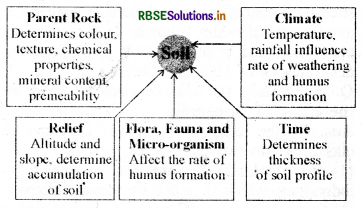 RBSE Class 8 Social Science Important Questions Geography Chapter 2 Land, Soil, Water, Natural Vegetation and Wildlife Resources-1