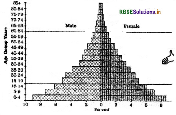 RBSE Class 8 Social Science Important Questions Geography Chapter 6 Human Resource-1
