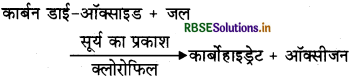RBSE Solutions for Class 7 Science Chapter 1 पादपों में पोषण 1