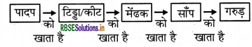 RBSE Solutions for Class 7 Science Chapter 1 पादपों में पोषण 3