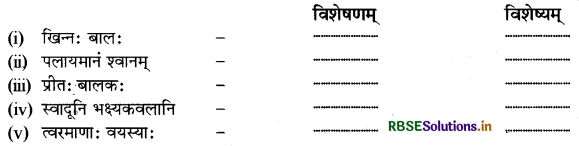 RBSE Solutions for Class 9 Sanskrit Shemushi Chapter 6 भ्रान्तो बालः 1