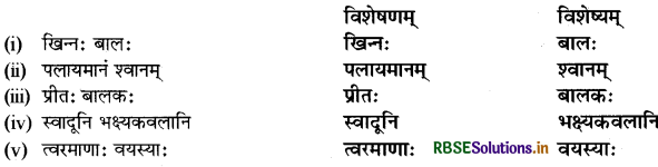 RBSE Solutions for Class 9 Sanskrit Shemushi Chapter 6 भ्रान्तो बालः 2