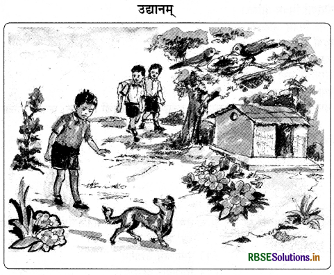 RBSE Solutions for Class 9 Sanskrit Shemushi Chapter 6 भ्रान्तो बालः 3