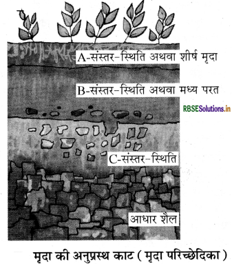 RBSE Solutions for Class 7 Science Chapter 9 मृदा 1