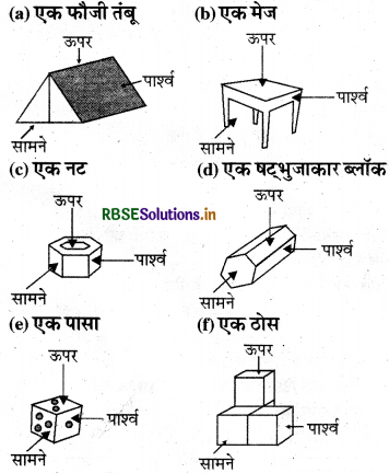 RBSE Solutions for Class 8 Maths Chapter 10 ठोस आकारों का चित्रण Ex 10.1 8