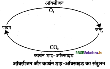 RBSE Solutions for Class 7 Science Chapter 17 वन: हमारी जीवन रेखा 1