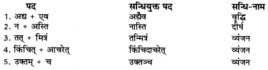 RBSE Class 9 Sanskrit व्याकरणम् सन्धिकार्यम् 10