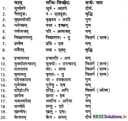 RBSE Class 9 Sanskrit व्याकरणम् सन्धिकार्यम् 2