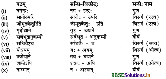 RBSE Class 9 Sanskrit व्याकरणम् सन्धिकार्यम् 3