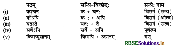 RBSE Class 9 Sanskrit व्याकरणम् सन्धिकार्यम् 4