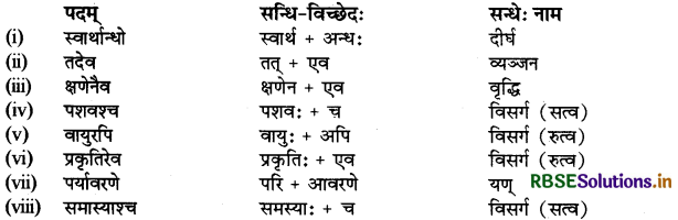 RBSE Class 9 Sanskrit व्याकरणम् सन्धिकार्यम् 6