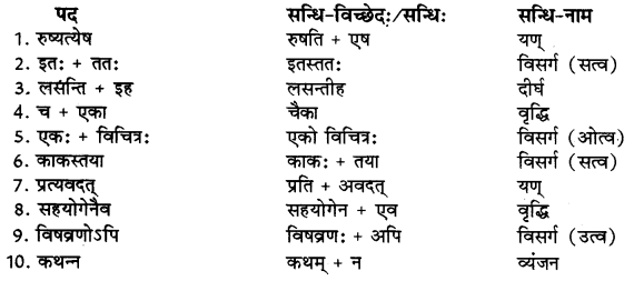 RBSE Class 9 Sanskrit व्याकरणम् सन्धिकार्यम् 7