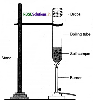 RBSE Solutions for Class 7 Science Important Questions Chapter 9 Soil-1