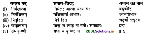 RBSE Class 9 Sanskrit व्याकरणम् समास-ज्ञानम् 3