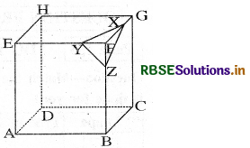 RBSE Solutions for Class 8 Maths Chapter 10 Visualizing Solid Shapes Intext Questions 7