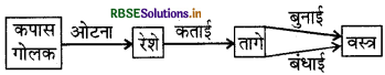 RBSE Class 6 Science Important Questions Chapter 3 तंतु से वस्त्र तक 1