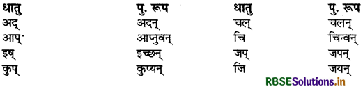 RBSE Class 9 Sanskrit व्याकरणम् प्रत्ययज्ञानम् 10