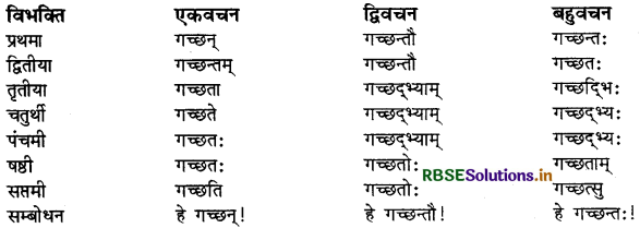 RBSE Class 9 Sanskrit व्याकरणम् शब्दरूपाणि 10