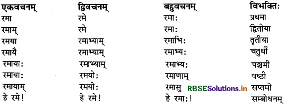 RBSE Class 9 Sanskrit व्याकरणम् शब्दरूपाणि 11